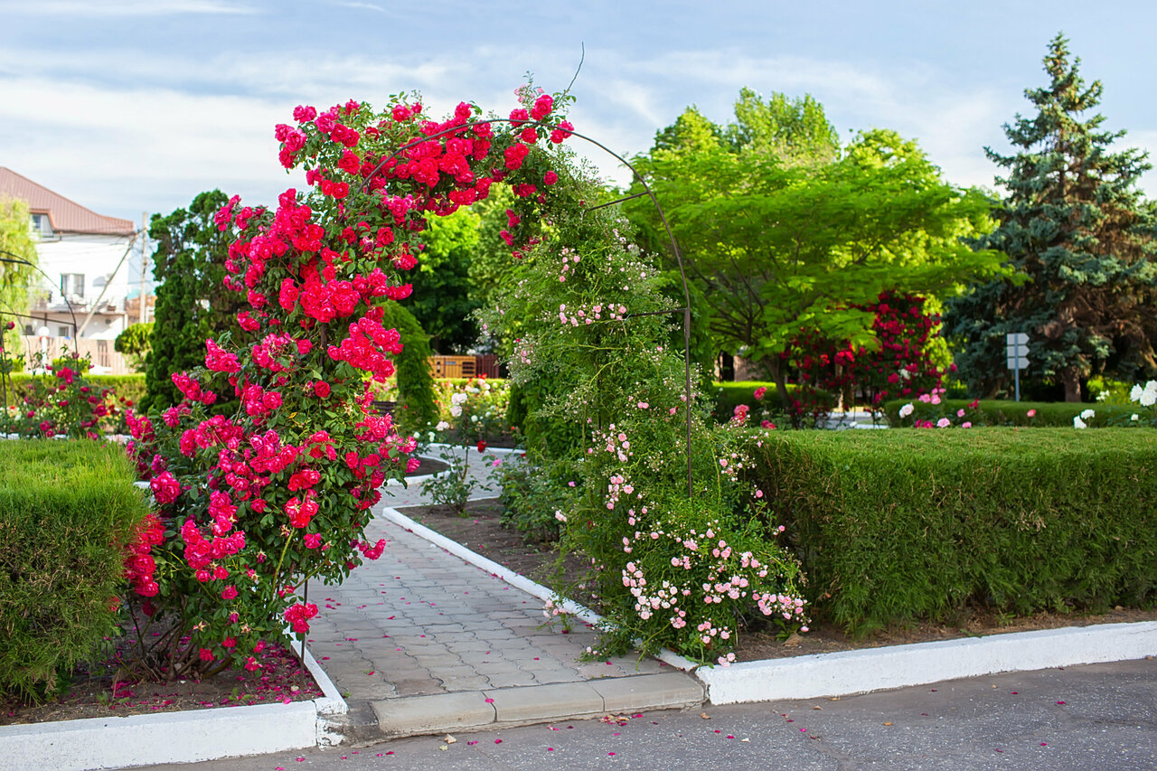 Гостиница Джемете Анапа-47