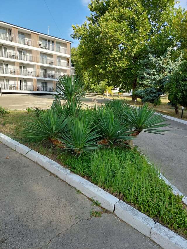 Гостиница Джемете Анапа-65