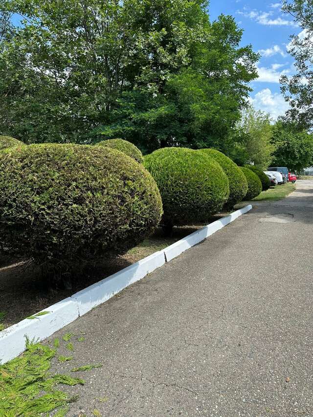 Гостиница Джемете Анапа-76